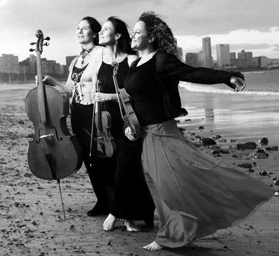 Cecilia Di Cecco Web Design