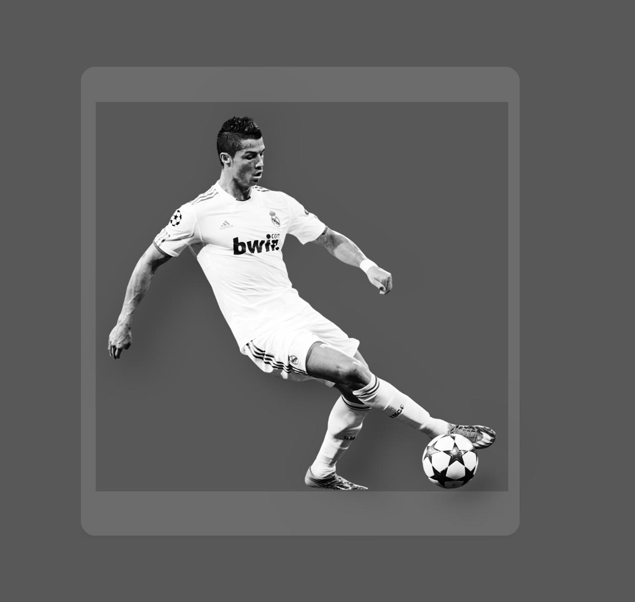 LongTails UX Project